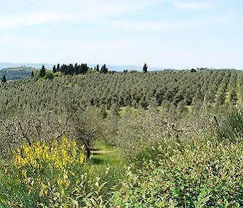 Country house Torre Di Ponzano